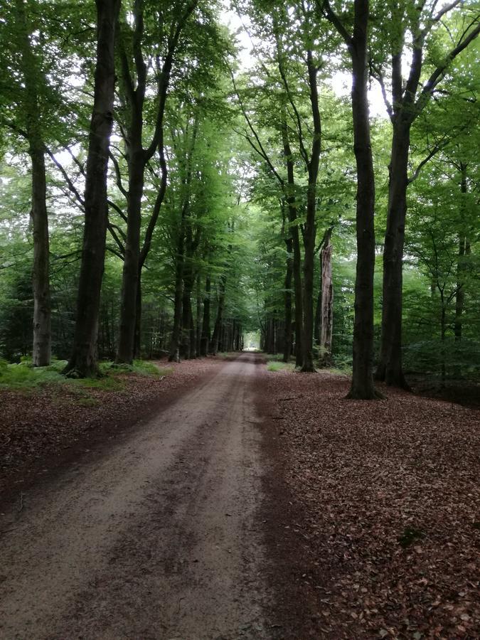 Villa Recreatieoord Hippique Westendorp Esterno foto